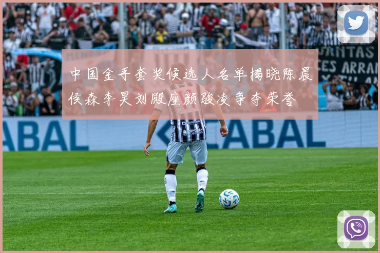 中国金手套奖候选人名单揭晓陈晨侯森李昊刘殿座颜骏凌争夺荣誉